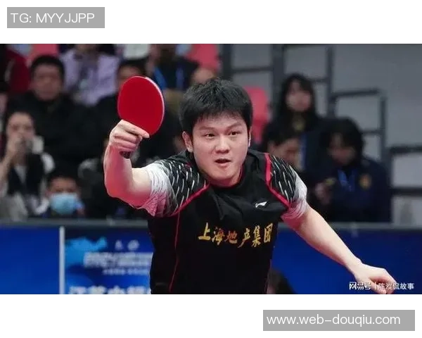 乒乓球的魅力揭秘:深入分析上海乒乓球队员的个人技术与实力 乒乓球的魅力揭秘:深入分析上海乒乓球队员的个人技术与实力